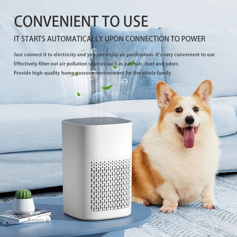 Simple style desktop air purifier with USB connection and panel heating for small rooms