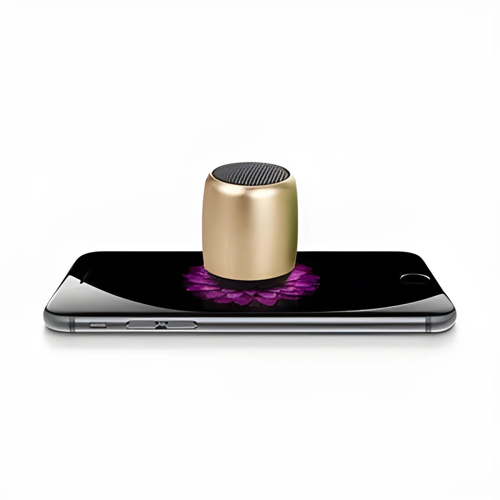 Portable outdoor mini Bluetooth speaker in black, blue, gold, or pink colours showing compact size