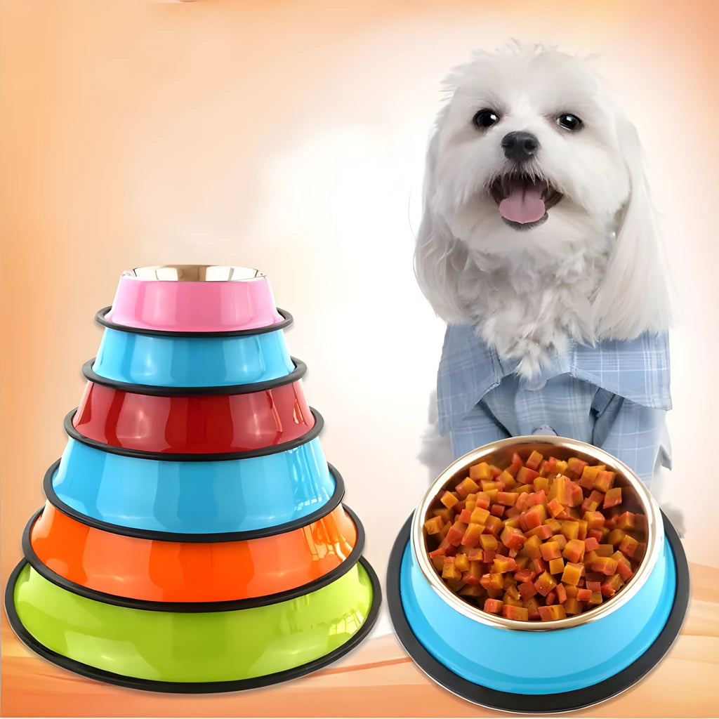 Stainless steel and colourful melamine pet bowl with non-slip rubber ring base in pink, green, red, blue, orange, yellow.