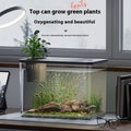 A black rectangular plastic fish tank with a clear plastic cover, sitting on a table.