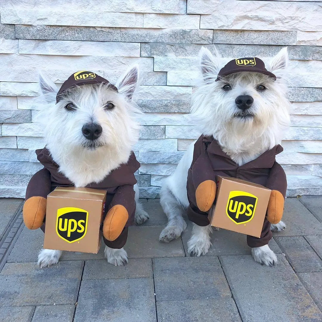 Funny Express pet dog cat clothes in brown cloth, size L for chest 60-70cm