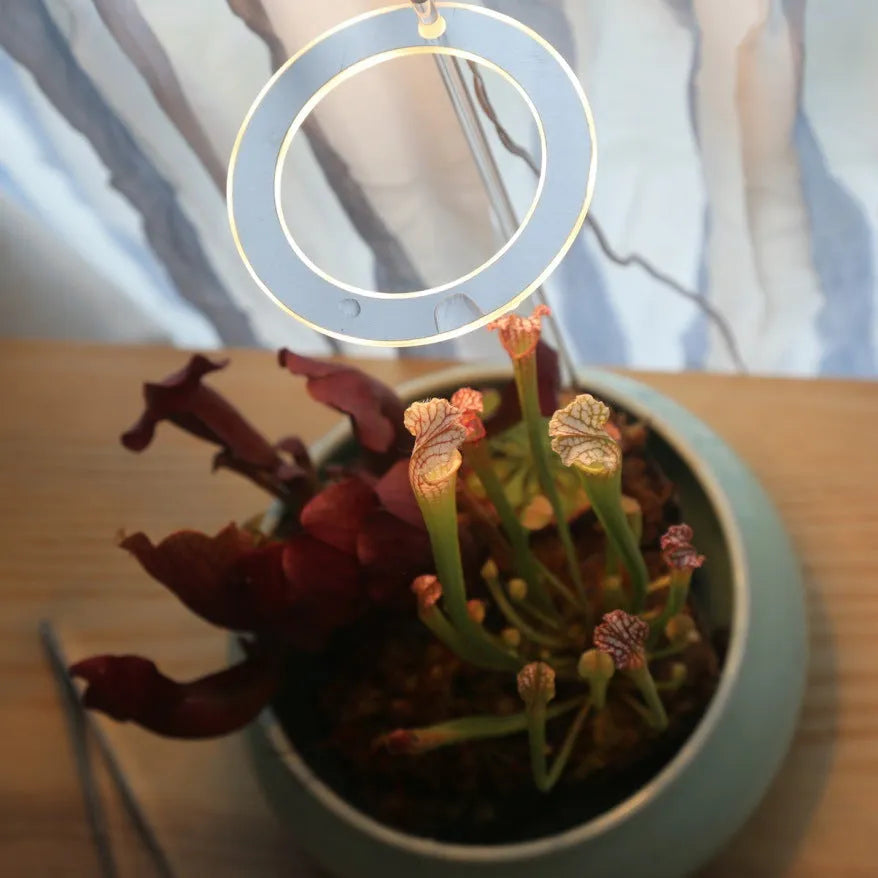USB-powered LED plant growth light with full spectrum illumination and acrylic stick holder