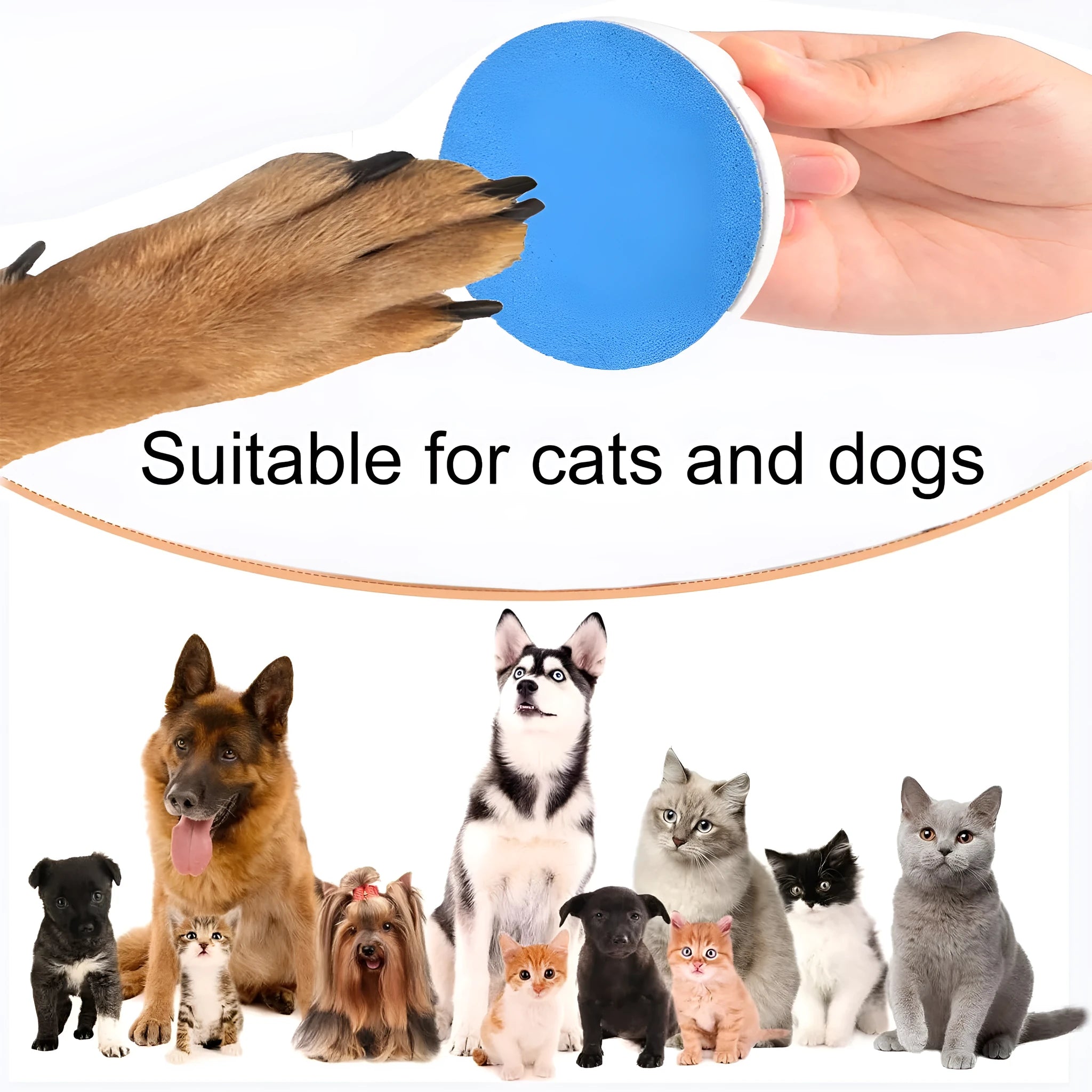 A square dog nail scratch board with an ergonomic handle, shown in blue with a replaceable sandpaper surface.