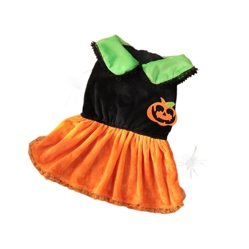 A dog wearing a crystal velvet Halloween pumpkin skirt costume, showing the soft fabric and festive design.