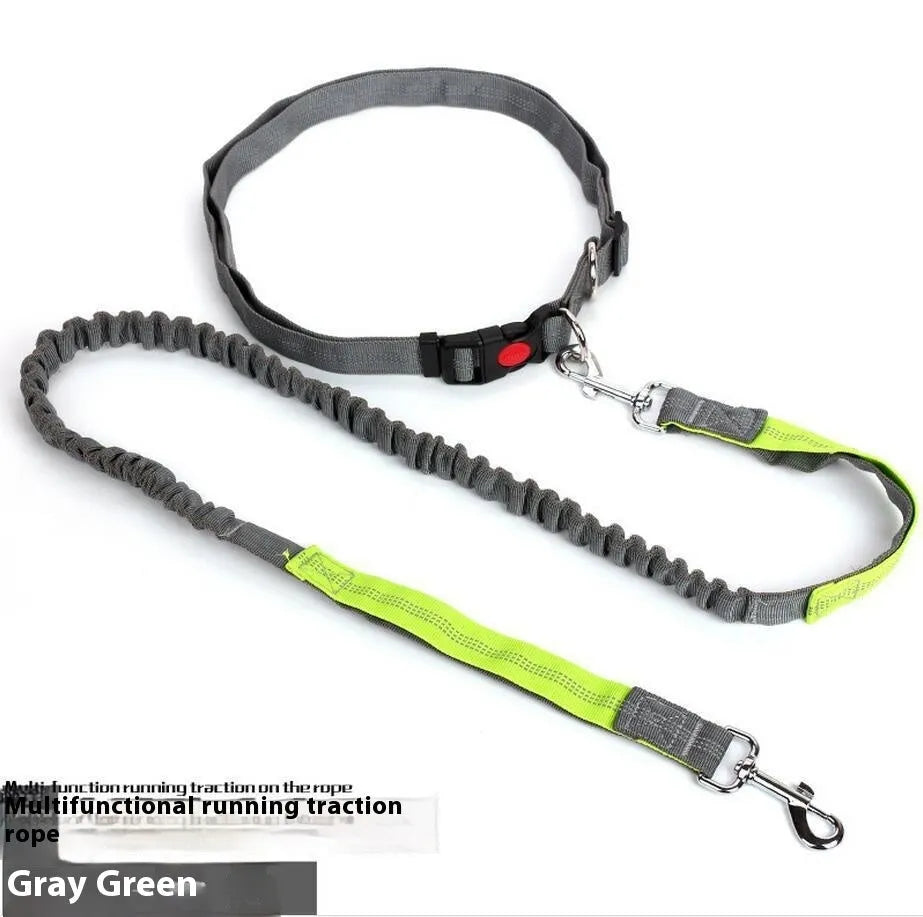 Grey and blue reflective elastic dog leash with nylon construction shown outdoors.