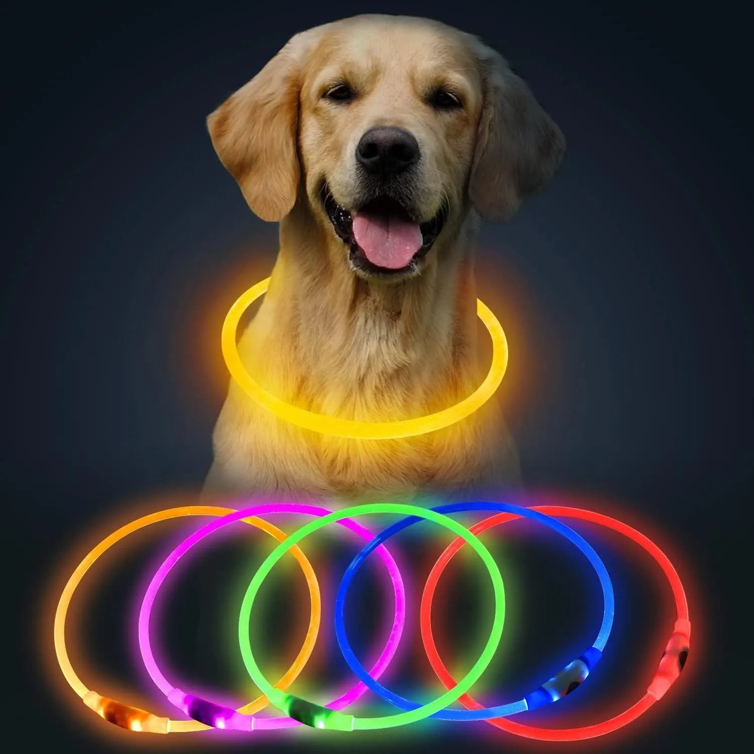 USB rechargeable LED dog collar glowing blue with adjustable TPU strap and ABS light housing