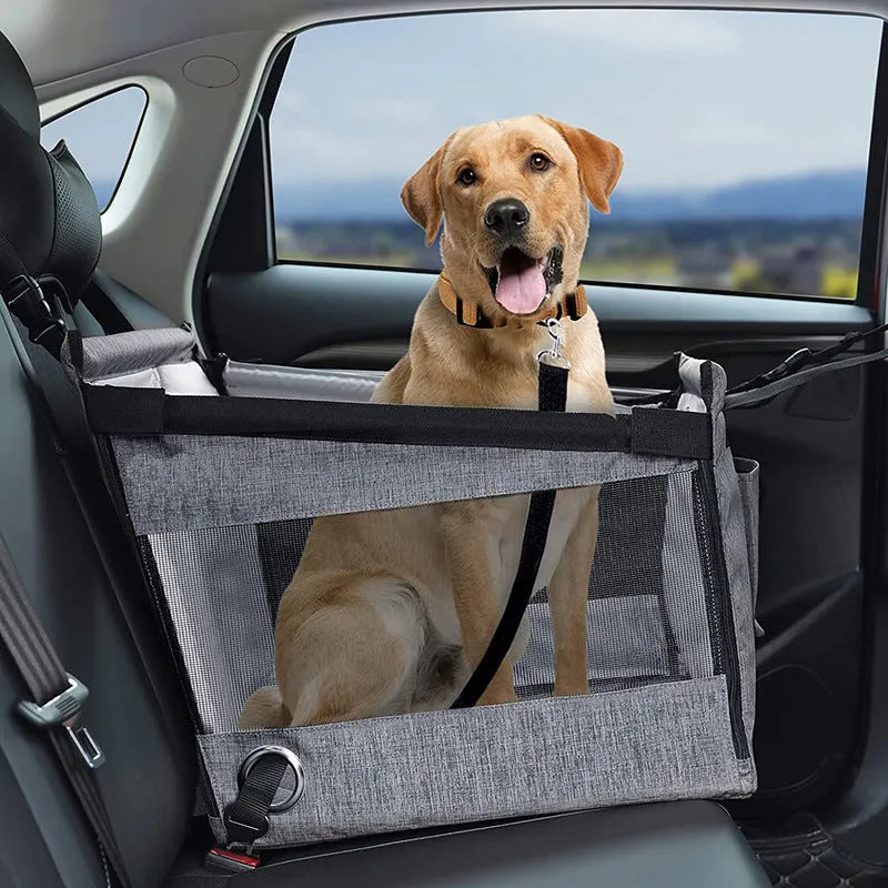 Black Oxford cloth collapsible pet crate for dogs, shown with measurements 49cm by 49cm by 38cm.