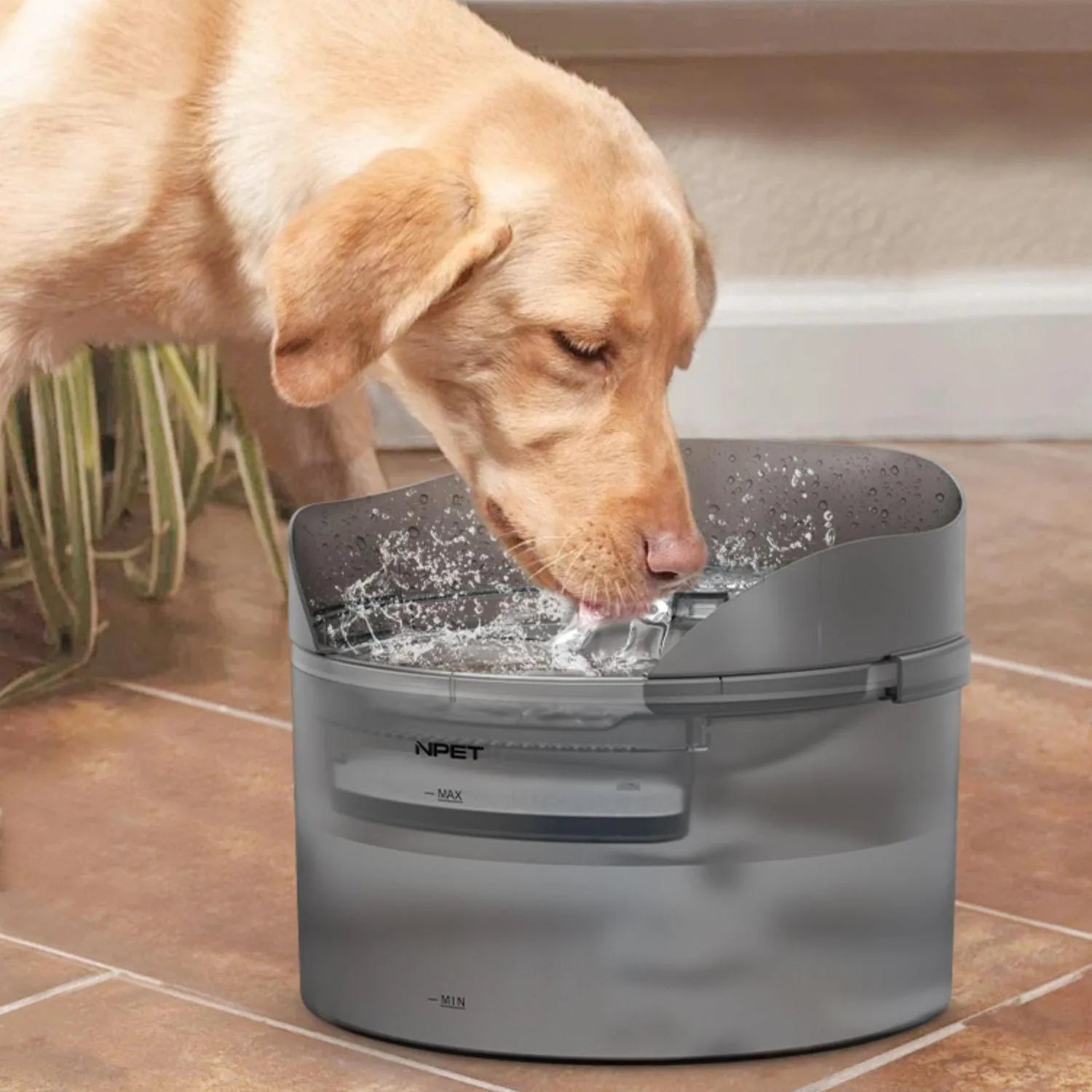 Automatic pet water fountain with filtration system for cats and dogs in 5L or 8L capacity