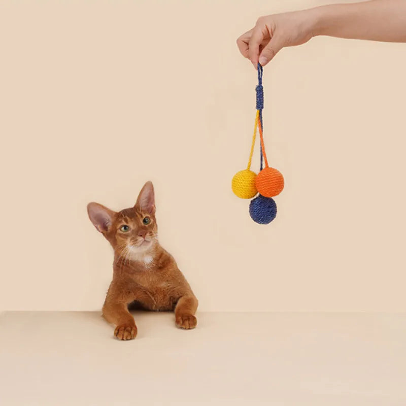Cat toy set with blue teaser stick and multicoloured catnip ball on white background