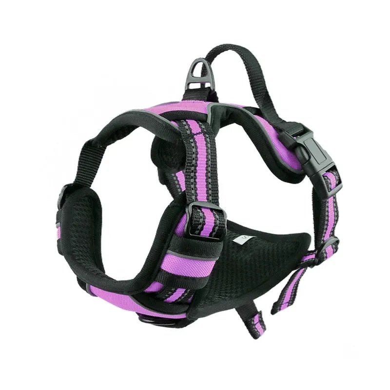 Adjustable Oxford cloth dog harness with a control handle on the strap, shown in a choice of colours.