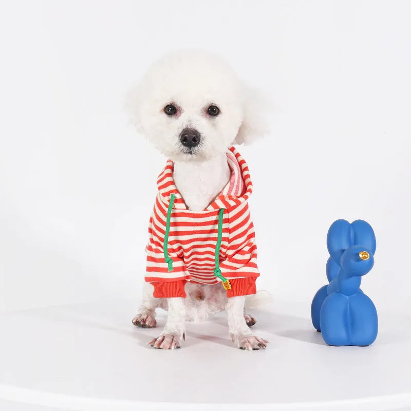 Orange cotton hooded dog sweater on a mannequin, showing Japanese Korean style.