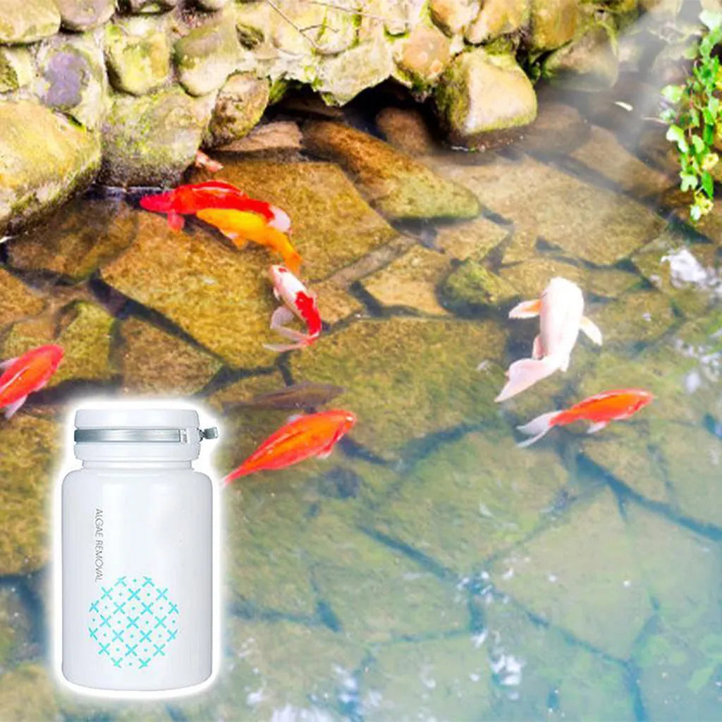 50g swimming pool algaecide for algae removal and moss control in freshwater aquariums