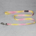 Gradient colour nylon dog leash set with collar or harness attachment options