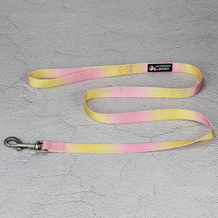 Gradient colour nylon dog leash set with collar or harness attachment options