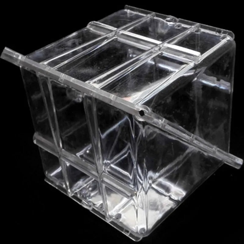 Square plastic watermelon growth mould measuring 13x13x13cm for shaping fruit