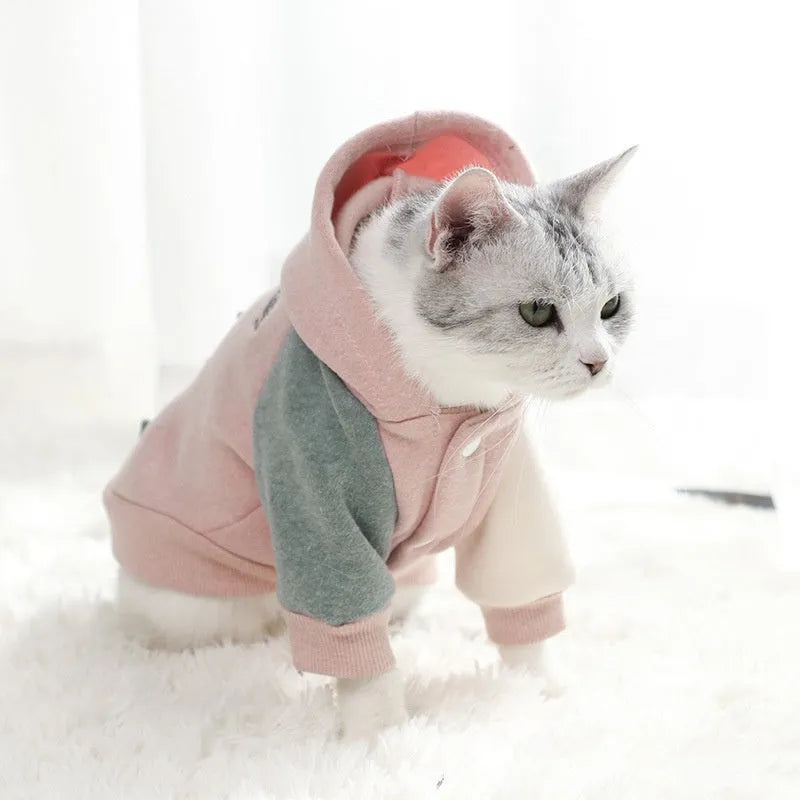 Brown cotton dog sweatshirt shown with green and pink colour options, sizes XS to 2XL