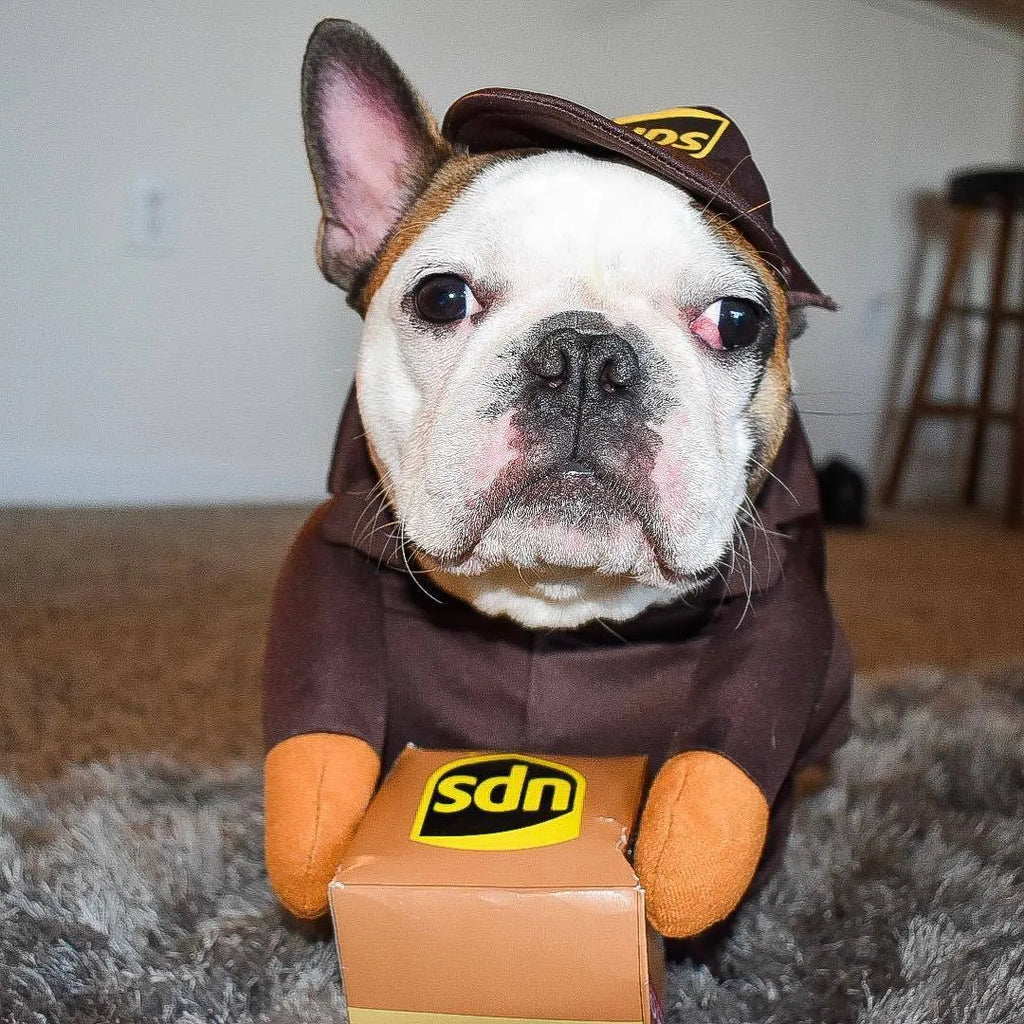 Funny Express pet dog cat clothes in brown cloth, size L for chest 60-70cm