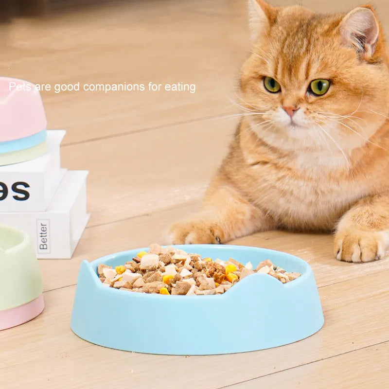 Blue ceramic dog slow feeder bowl with puzzle maze design for portion control