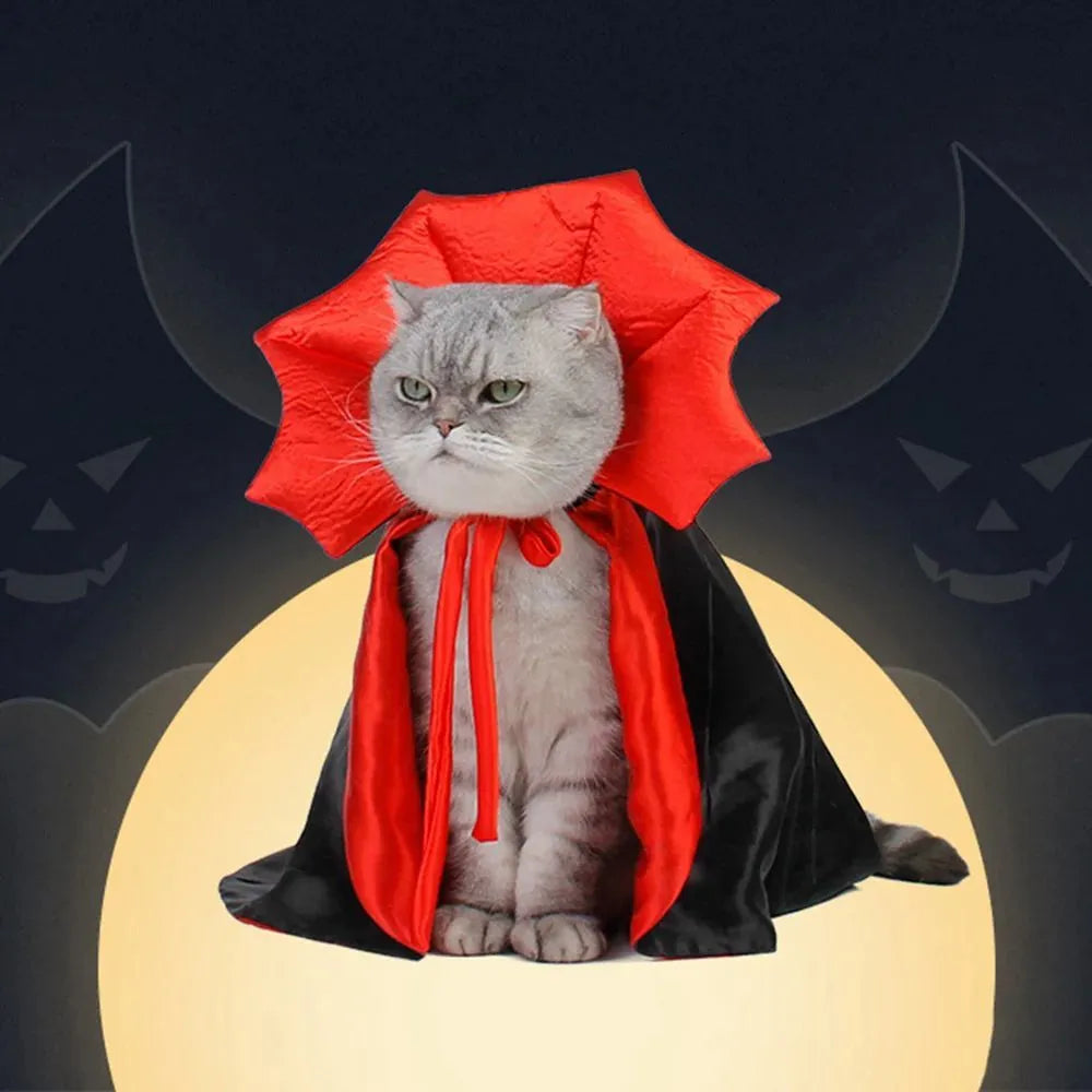 Small dog wearing black vampire cloak Halloween costume with three size options displayed