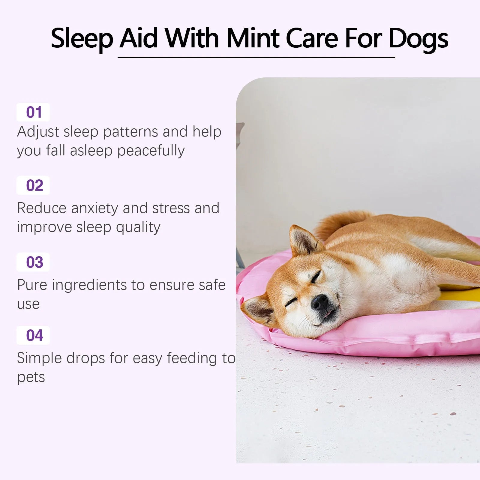 60ml bottle of dog sleep drops calming liquid with mint extract for night-time pet anxiety
