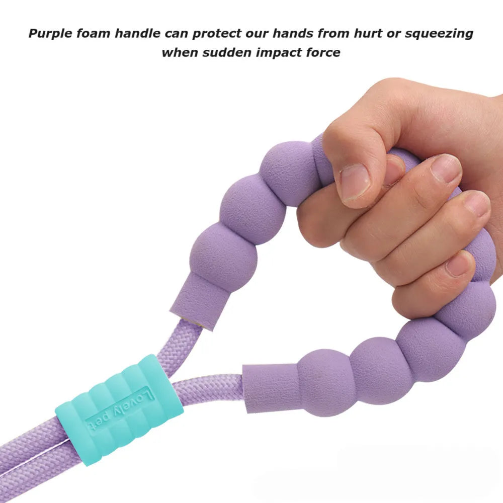 Nylon dog traction lead with foam handle in four colour options