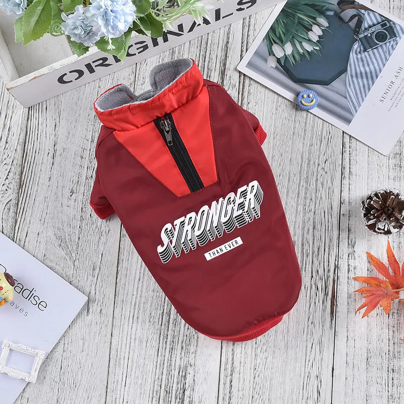 Red dog coat with V-shaped splicing design showing thick cotton construction and casual styling for pet wear