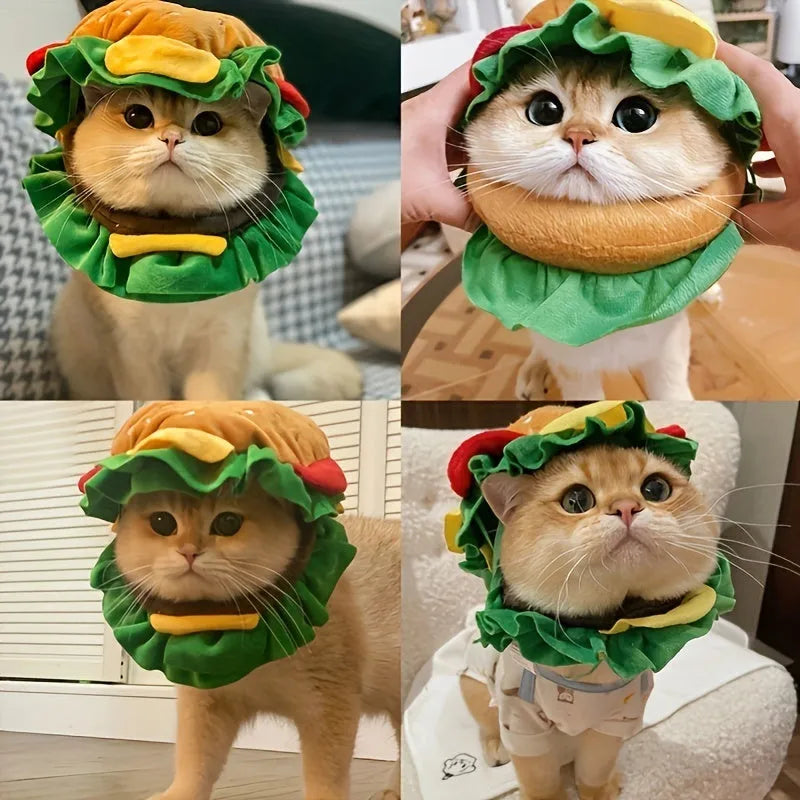 Cat wearing burger bun headdress collar with adjustable strap