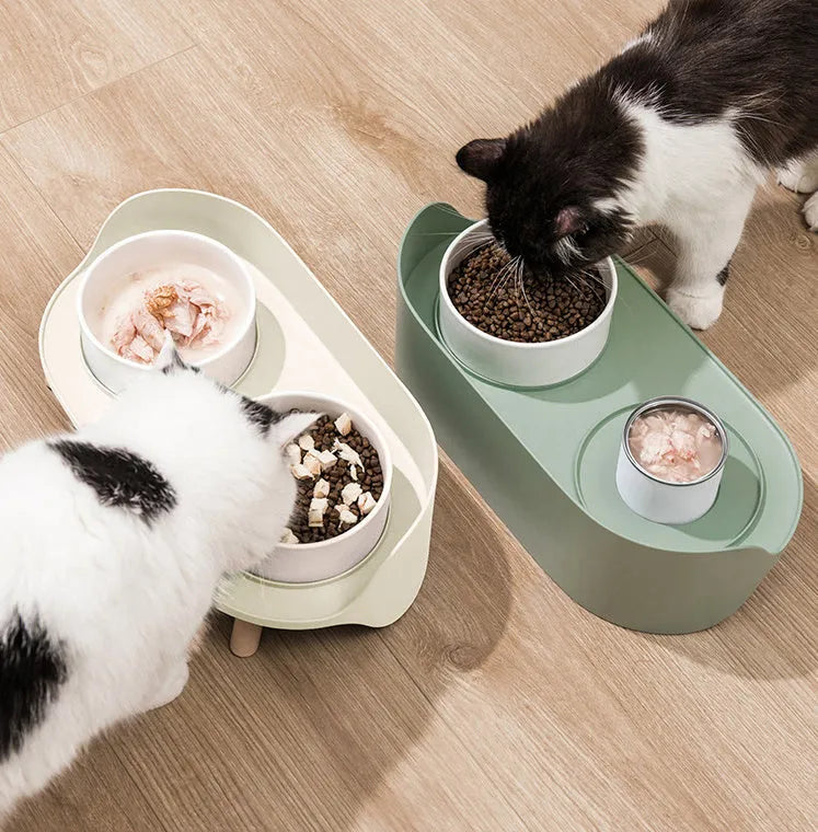 Green adjustable tilted double pet bowl for cats and dogs, showing separate food and water compartments.