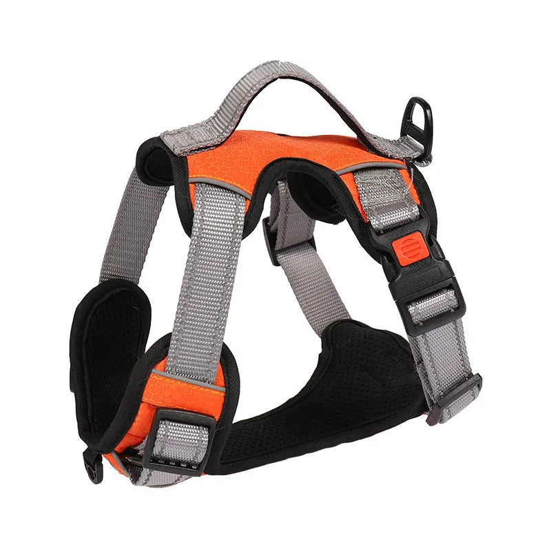 Polyester dog chest back harness with hand holding rope in various colours on size chart.