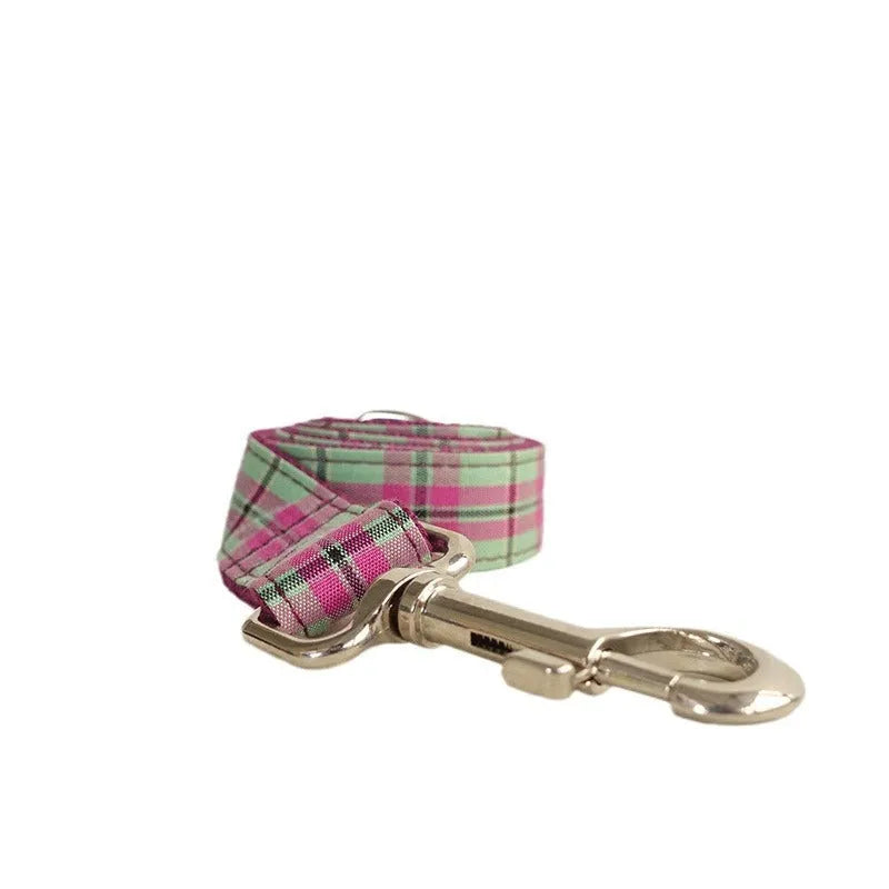 Mint green polyester dog collar and leash combination set shown in five available sizes