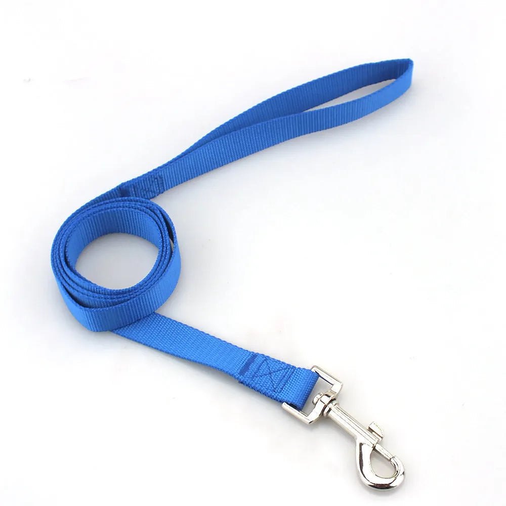 Solid colour nylon dog leash rope in blue showing hand-holding grip and length