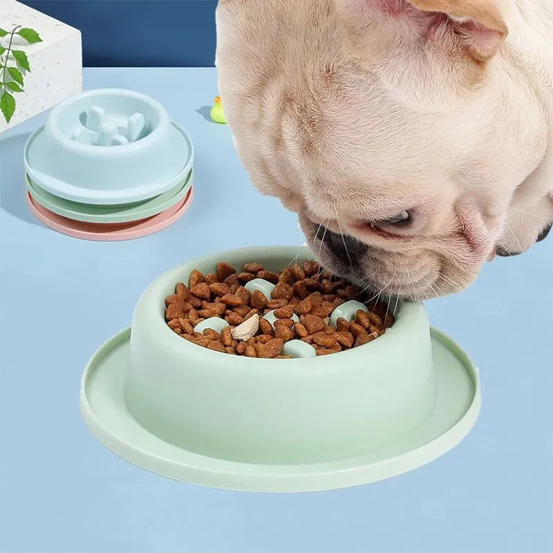 Blue pet slow feeder bowl with maze pattern and non-slip base on a kitchen floor