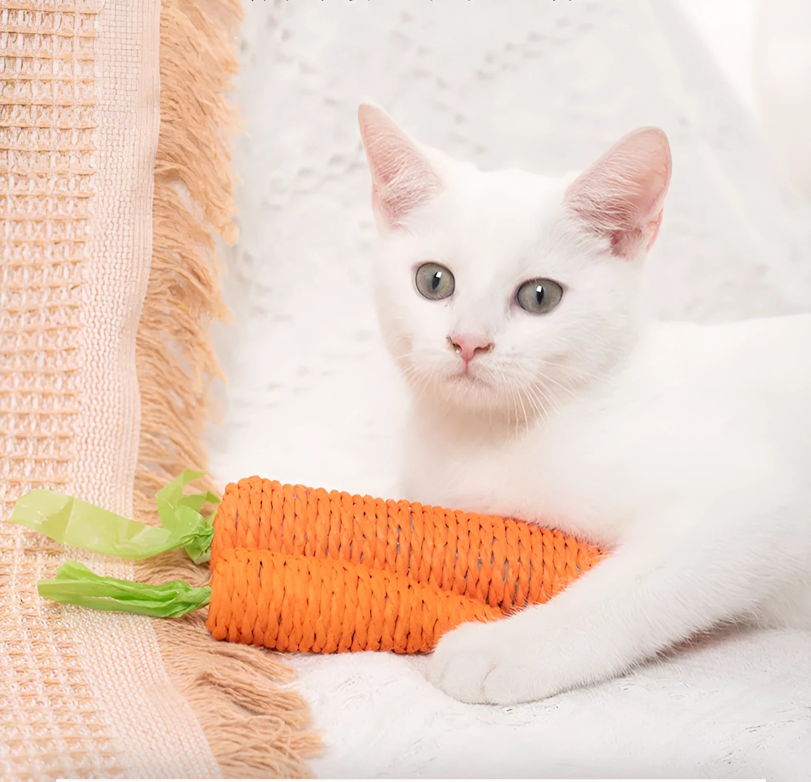 Cat toys set with carrot-shaped paper toys, ringing stones, dental sticks, and interactive elements in two size options