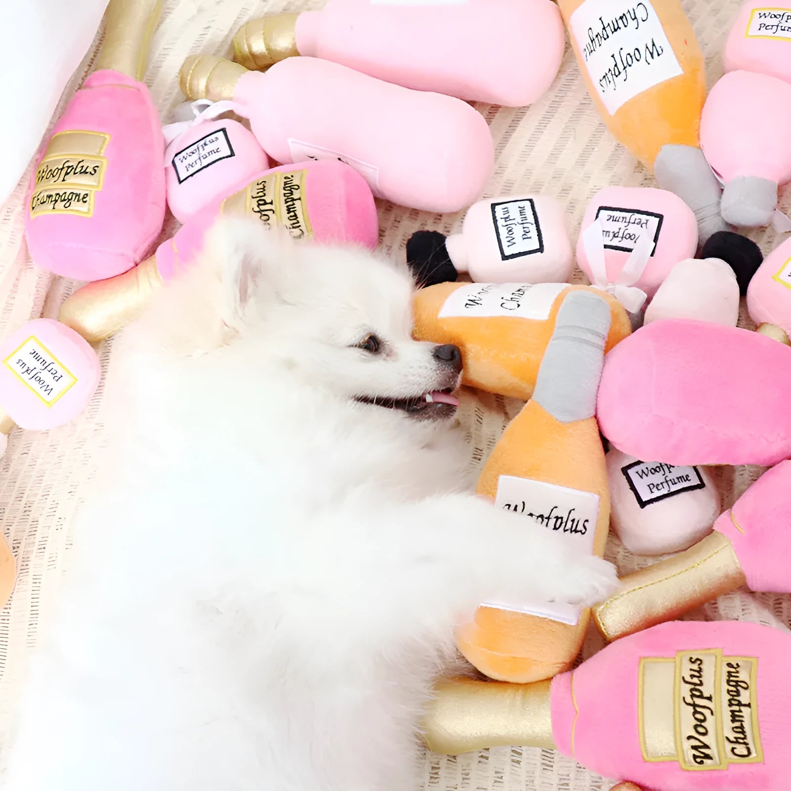 Plush wine bottle shaped dog toy in assorted colours with soft textile material