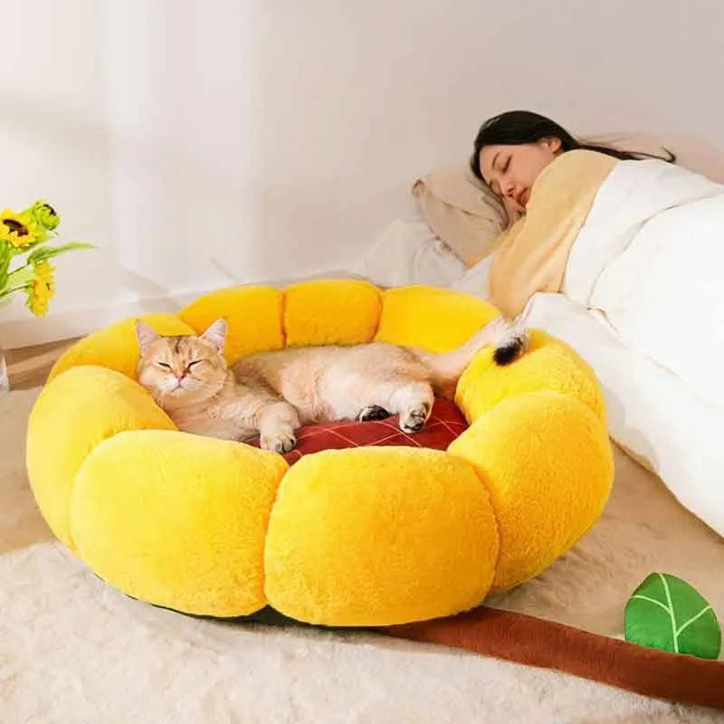 PV velvet cat nest cushion in green dinosaur pattern, shown in medium size.