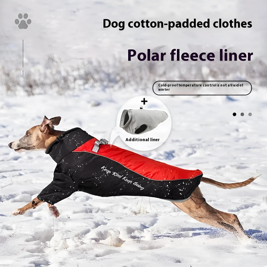 Dog wearing a polar fleece jacket with a separate liner in a two-tone colour