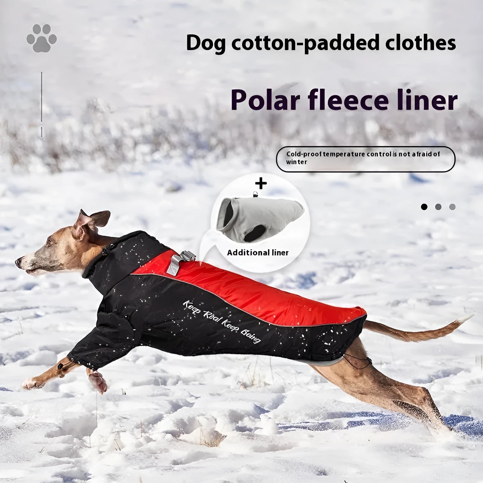 Dog wearing a polar fleece jacket with a separate liner in a two-tone colour
