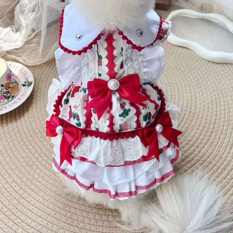Small white dog wearing a princess-style rabbit skirt costume made of polyester fabric.
