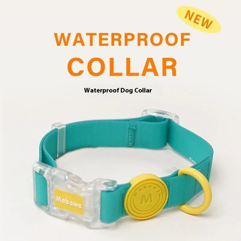 Nylon dog collar and leash set in choice of four colours with length options for pet control