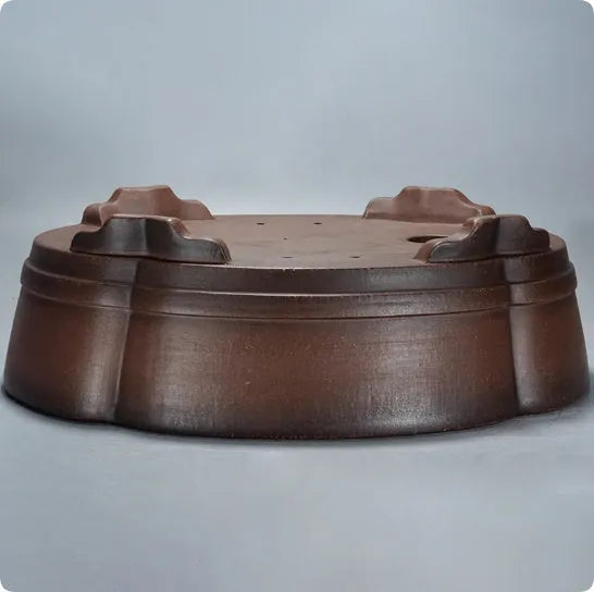 A rectangular purple clay bonsai pot with a simple classical design, shown on a tabletop.