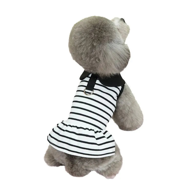 Pet wearing striped cotton T-shirt and skirt summer outfit in casual style