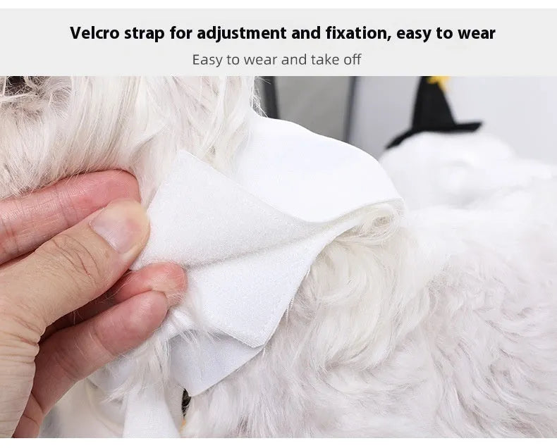 White pumpkin ghost Halloween dog costume for small medium large dogs