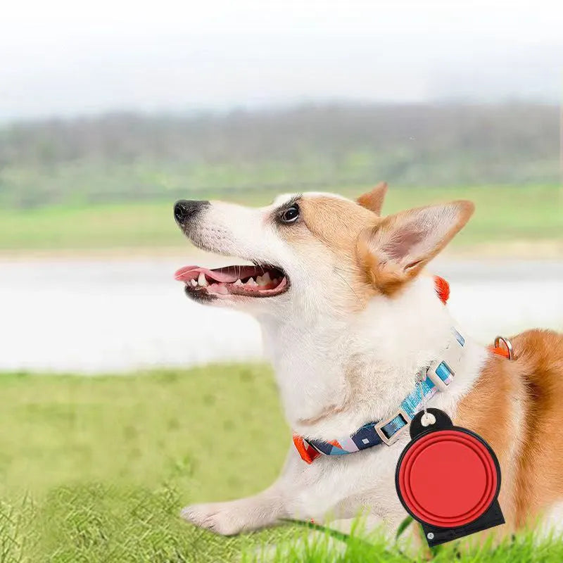 Silicone folding double pet bowl set in various colours showing unfolded feeding position