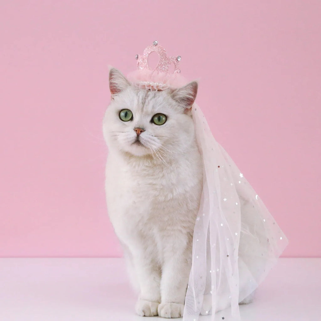 Pet cat wearing princess crown headdress with veil in beige or pink colour