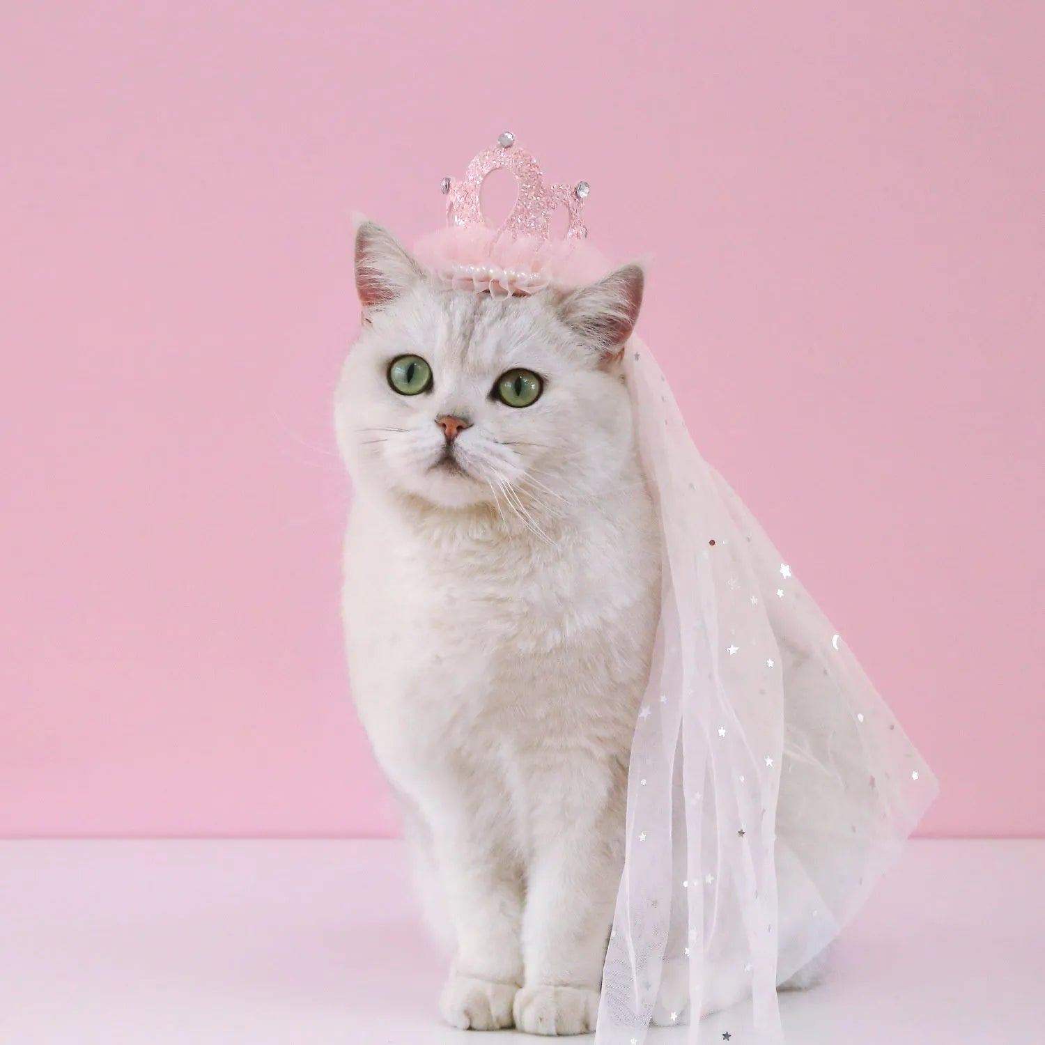 Pet cat wearing princess crown headdress with veil in beige or pink colour