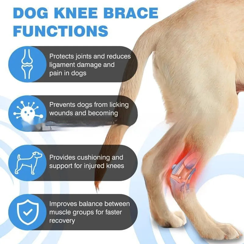 Black polyester dog leg guard for ACL and joint support, sizes L M XL.