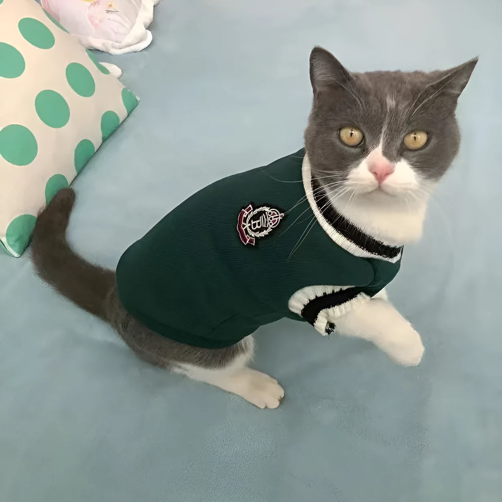 Cat wearing silver gradual layer winter clothes in blue duck colour with weight-based sizing