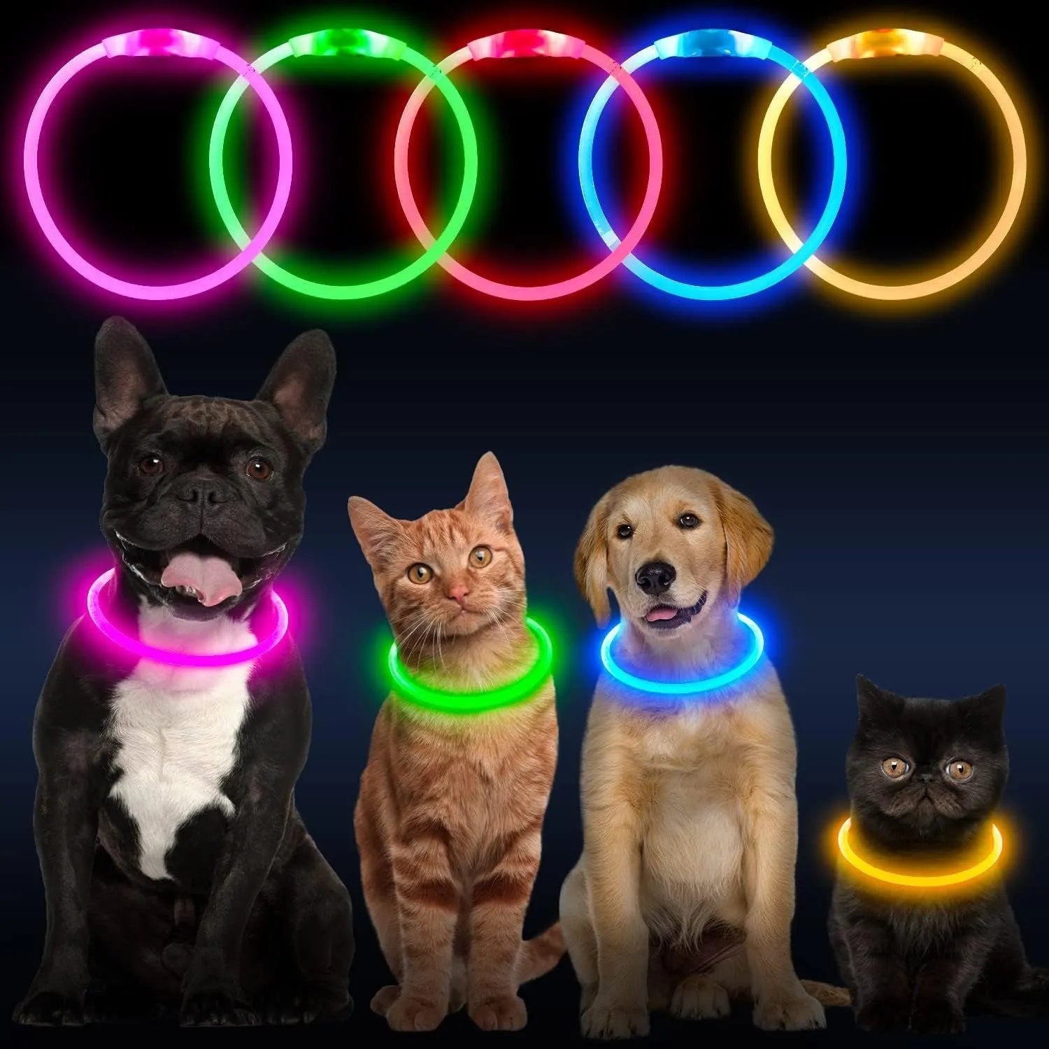 USB rechargeable LED dog collar glowing blue with adjustable TPU strap and ABS light housing