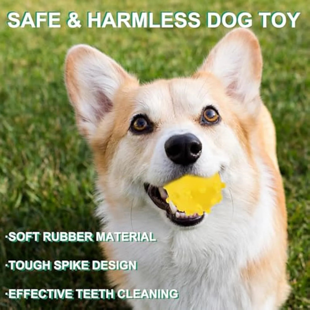 Blue, green, pink, and yellow spiky dog toy balls with paw print dimples, shown next to a small dog.