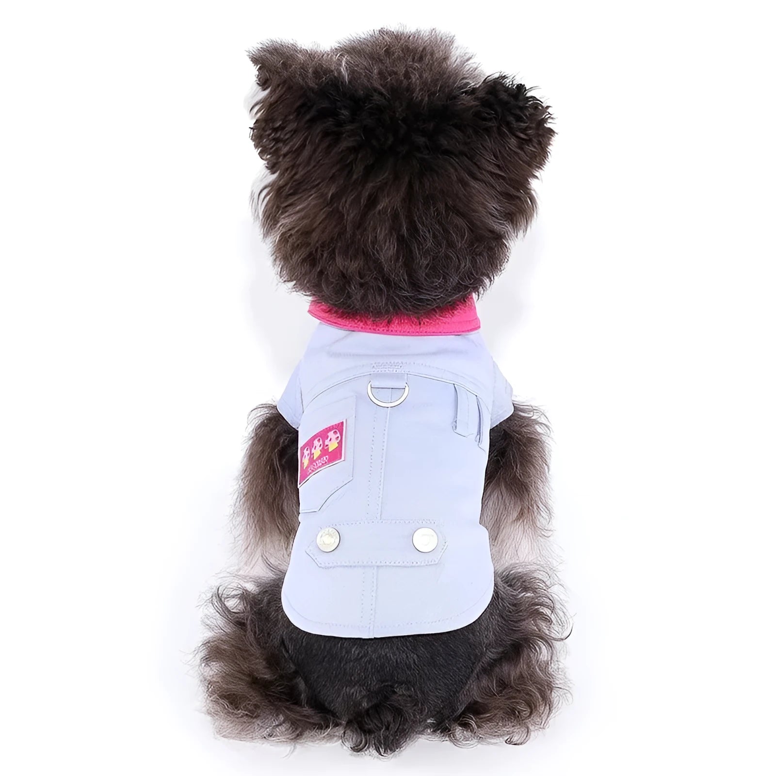 Blue and purple polyester vest for small dogs with rope rings on chest and back